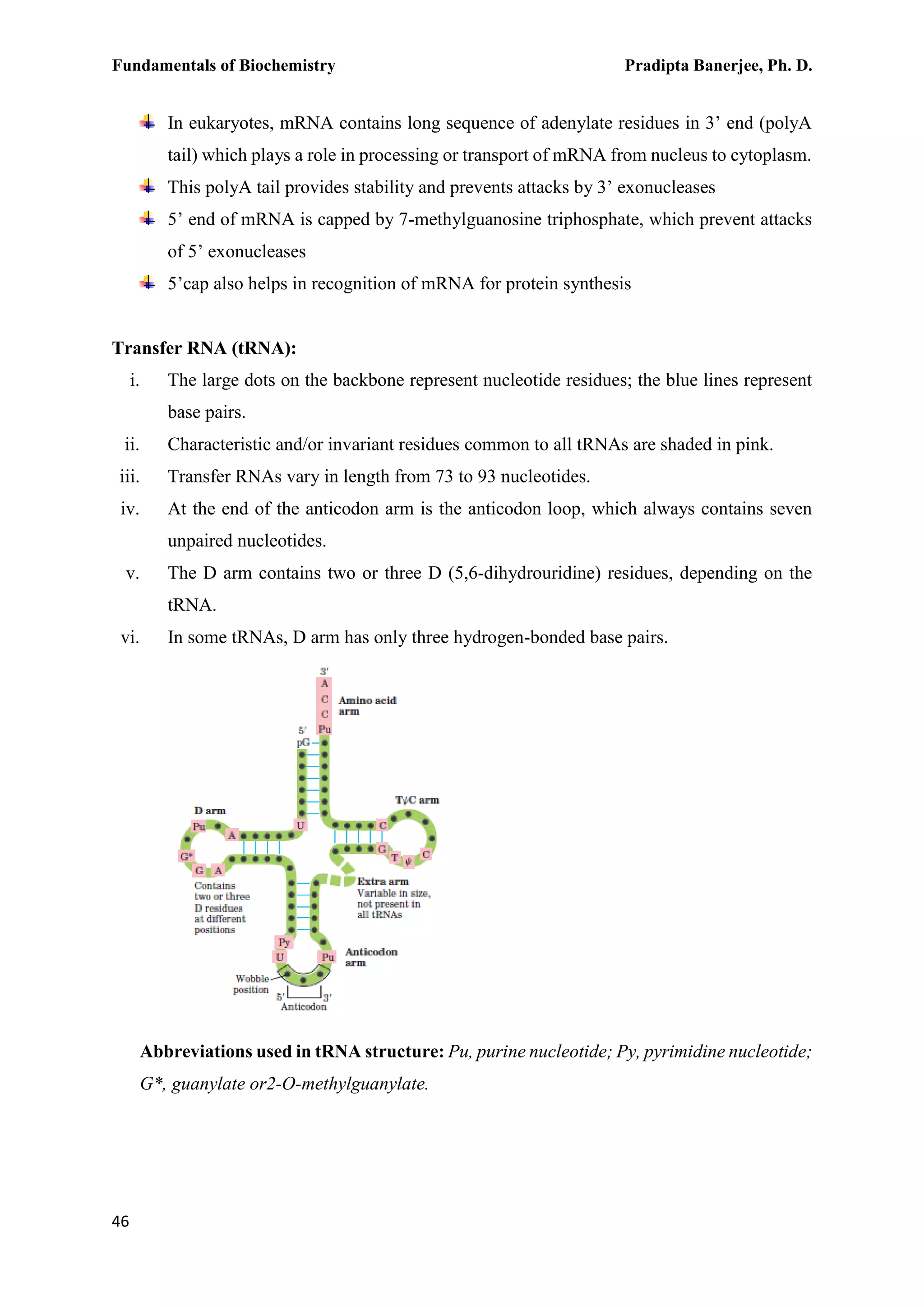 Fundamentals of Biochemistry Pradipta Banerjee, Ph. D.
46
In eukaryotes, mRNA contains long sequence of adenylate residues in 3’ end (polyA
tail) which plays a role in processing or transport of mRNA from nucleus to cytoplasm.
This polyA tail provides stability and prevents attacks by 3’ exonucleases
5’ end of mRNA is capped by 7-methylguanosine triphosphate, which prevent attacks
of 5’ exonucleases
5’cap also helps in recognition of mRNA for protein synthesis
Transfer RNA (tRNA):
i. The large dots on the backbone represent nucleotide residues; the blue lines represent
base pairs.
ii. Characteristic and/or invariant residues common to all tRNAs are shaded in pink.
iii. Transfer RNAs vary in length from 73 to 93 nucleotides.
iv. At the end of the anticodon arm is the anticodon loop, which always contains seven
unpaired nucleotides.
v. The D arm contains two or three D (5,6-dihydrouridine) residues, depending on the
tRNA.
vi. In some tRNAs, D arm has only three hydrogen-bonded base pairs.
Abbreviations used in tRNA structure: Pu, purine nucleotide; Py, pyrimidine nucleotide;
G*, guanylate or2-O-methylguanylate.
 