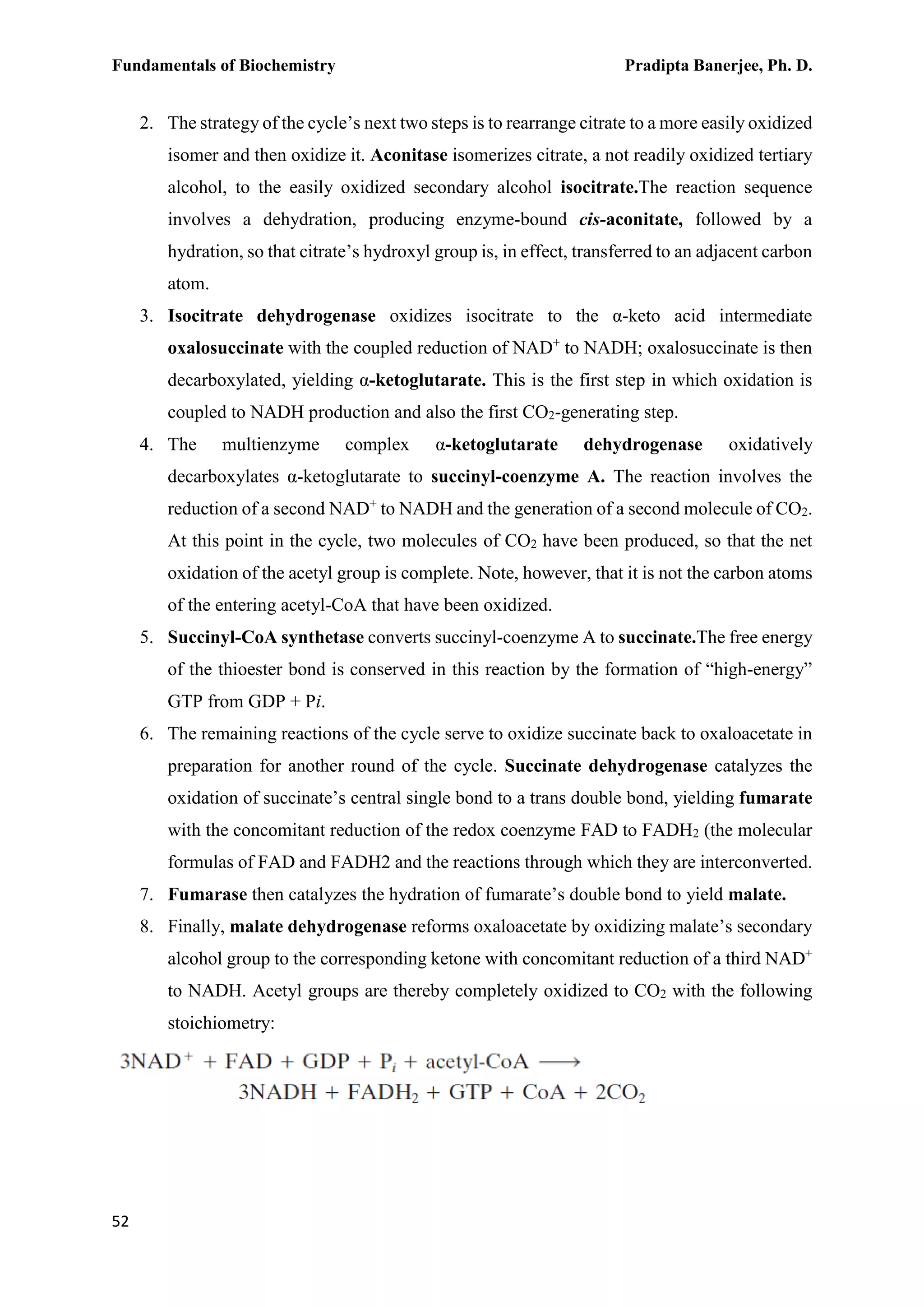 Fundamentals of Biochemistry Pradipta Banerjee, Ph. D.
52
2. The strategy of the cycle’s next two steps is to rearrange citrate to a more easily oxidized
isomer and then oxidize it. Aconitase isomerizes citrate, a not readily oxidized tertiary
alcohol, to the easily oxidized secondary alcohol isocitrate.The reaction sequence
involves a dehydration, producing enzyme-bound cis-aconitate, followed by a
hydration, so that citrate’s hydroxyl group is, in effect, transferred to an adjacent carbon
atom.
3. Isocitrate dehydrogenase oxidizes isocitrate to the α-keto acid intermediate
oxalosuccinate with the coupled reduction of NAD+
to NADH; oxalosuccinate is then
decarboxylated, yielding α-ketoglutarate. This is the first step in which oxidation is
coupled to NADH production and also the first CO2-generating step.
4. The multienzyme complex α-ketoglutarate dehydrogenase oxidatively
decarboxylates α-ketoglutarate to succinyl-coenzyme A. The reaction involves the
reduction of a second NAD+
to NADH and the generation of a second molecule of CO2.
At this point in the cycle, two molecules of CO2 have been produced, so that the net
oxidation of the acetyl group is complete. Note, however, that it is not the carbon atoms
of the entering acetyl-CoA that have been oxidized.
5. Succinyl-CoA synthetase converts succinyl-coenzyme A to succinate.The free energy
of the thioester bond is conserved in this reaction by the formation of “high-energy”
GTP from GDP + Pi.
6. The remaining reactions of the cycle serve to oxidize succinate back to oxaloacetate in
preparation for another round of the cycle. Succinate dehydrogenase catalyzes the
oxidation of succinate’s central single bond to a trans double bond, yielding fumarate
with the concomitant reduction of the redox coenzyme FAD to FADH2 (the molecular
formulas of FAD and FADH2 and the reactions through which they are interconverted.
7. Fumarase then catalyzes the hydration of fumarate’s double bond to yield malate.
8. Finally, malate dehydrogenase reforms oxaloacetate by oxidizing malate’s secondary
alcohol group to the corresponding ketone with concomitant reduction of a third NAD+
to NADH. Acetyl groups are thereby completely oxidized to CO2 with the following
stoichiometry:
 