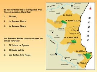 RÍO ARAGÓN
RÍO
EBRO
Mélida
Carcastillo
Monasterio
de la Oliva
Rada
Caparroso
Valtierra
Arguedas
TUDELA
Cabanillas
Fustiñana
Ribaforada
Buñuel
EL PLANO
LA BLANCA ALTA
LA BLANCA BAJA
LA NEGRA
EL FRAILE
Polígono de Tiro
Pisquerra
El Rallón
Cabezo de
Castildetierra
RESERVA NATURAL
VEDADO DE EGUARAS
RESERVA NATURAL
RINCÓN DEL BU
RESERVA NATURAL
CAIDAS DE LA NEGRA
Santacara
ARAGÓN
En las Bardenas Reales distinguimos tres
tipos de paisajes diferentes:
1. El Plano,
2. La Bardena Blanca
3. La Bardena Negra.
Las Bardenas Reales cuentan con tres re-
servas naturales:
1. El Vedado de Eguaras
2. El Rincón del Bu
3. Las Caídas de la Negra
♝
 