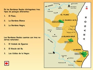 RÍO ARAGÓN
RÍO
EBRO
Mélida
Carcastillo
Monasterio
de la Oliva
Rada
Caparroso
Valtierra
Arguedas
TUDELA
Cabanillas
Fustiñana
Ribaforada
Buñuel
EL PLANO
LA BLANCA ALTA
LA BLANCA BAJA
LA NEGRA
EL FRAILE
Polígono de Tiro
Pisquerra
El Rallón
Cabezo de
Castildetierra
RESERVA NATURAL
VEDADO DE EGUARAS
RESERVA NATURAL
RINCÓN DEL BU
RESERVA NATURAL
CAIDAS DE LA NEGRA
Santacara
ARAGÓN
En las Bardenas Reales distinguimos tres
tipos de paisajes diferentes:
1. El Plano,
2. La Bardena Blanca
3. La Bardena Negra.
Las Bardenas Reales cuentan con tres re-
servas naturales:
1. El Vedado de Eguaras
2. El Rincón del Bu
3. Las Caídas de la Negra
♝
 