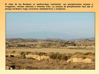 El clima de las Bardenas es mediterráneo continental, con precipitaciones escasas e
irregulares, veranos calurosos e inviernos fríos. La escasez de precipitaciones hace que el
paisaje bardenero tenga caracteres semidesérticos y esteparios.
 