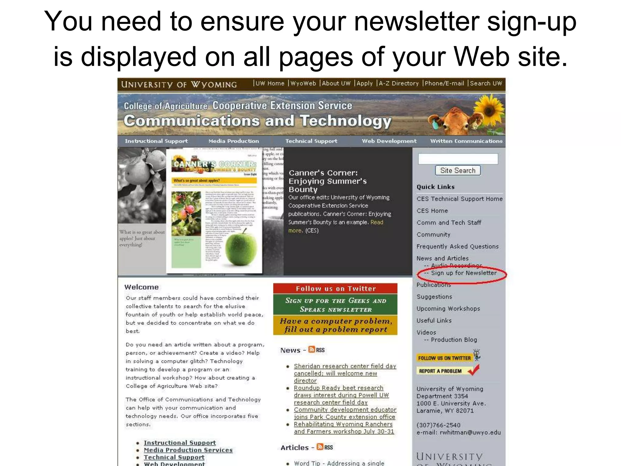 You need to ensure your newsletter sign-up is displayed on all pages of your Web site.