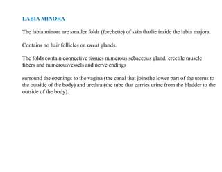 E-Notes-FEMALE-REPRODUCTIVE-SYSTEM.pdfml | PDF