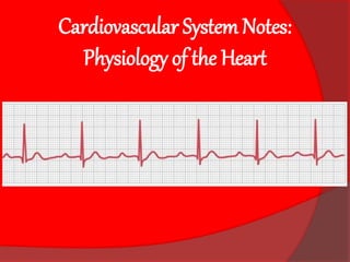 Cardiovascular System Notes:
Physiology of the Heart
 