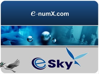 e  – numX.com 