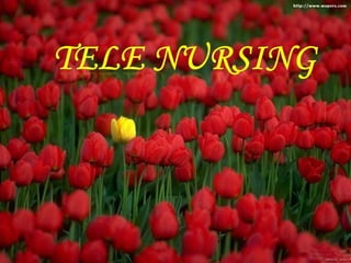 Job interviews can be conducted.