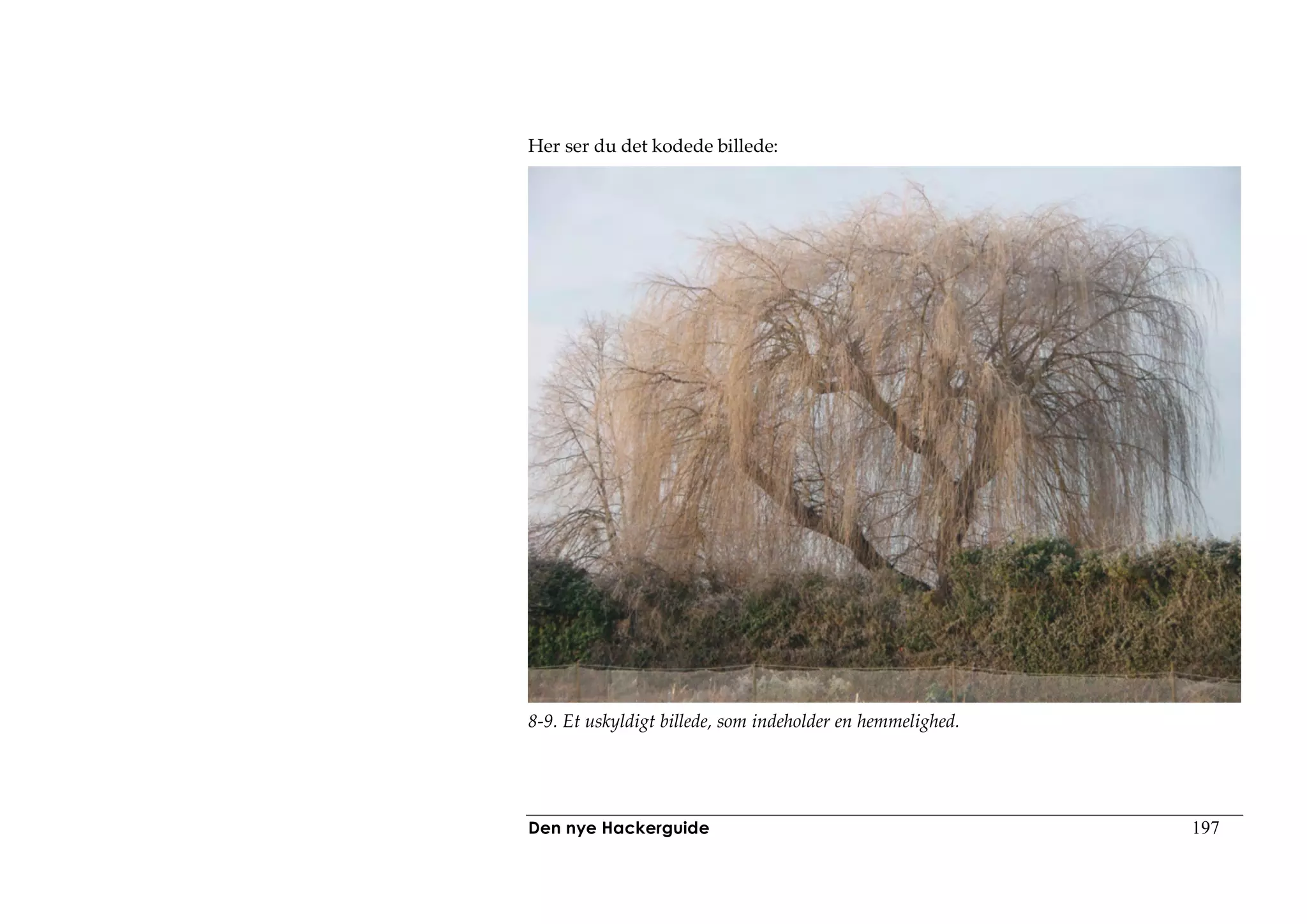 Her ser du det kodede billede:




8-9. Et uskyldigt billede, som indeholder en hemmelighed.




Den nye Hackerguide                                         197
 
