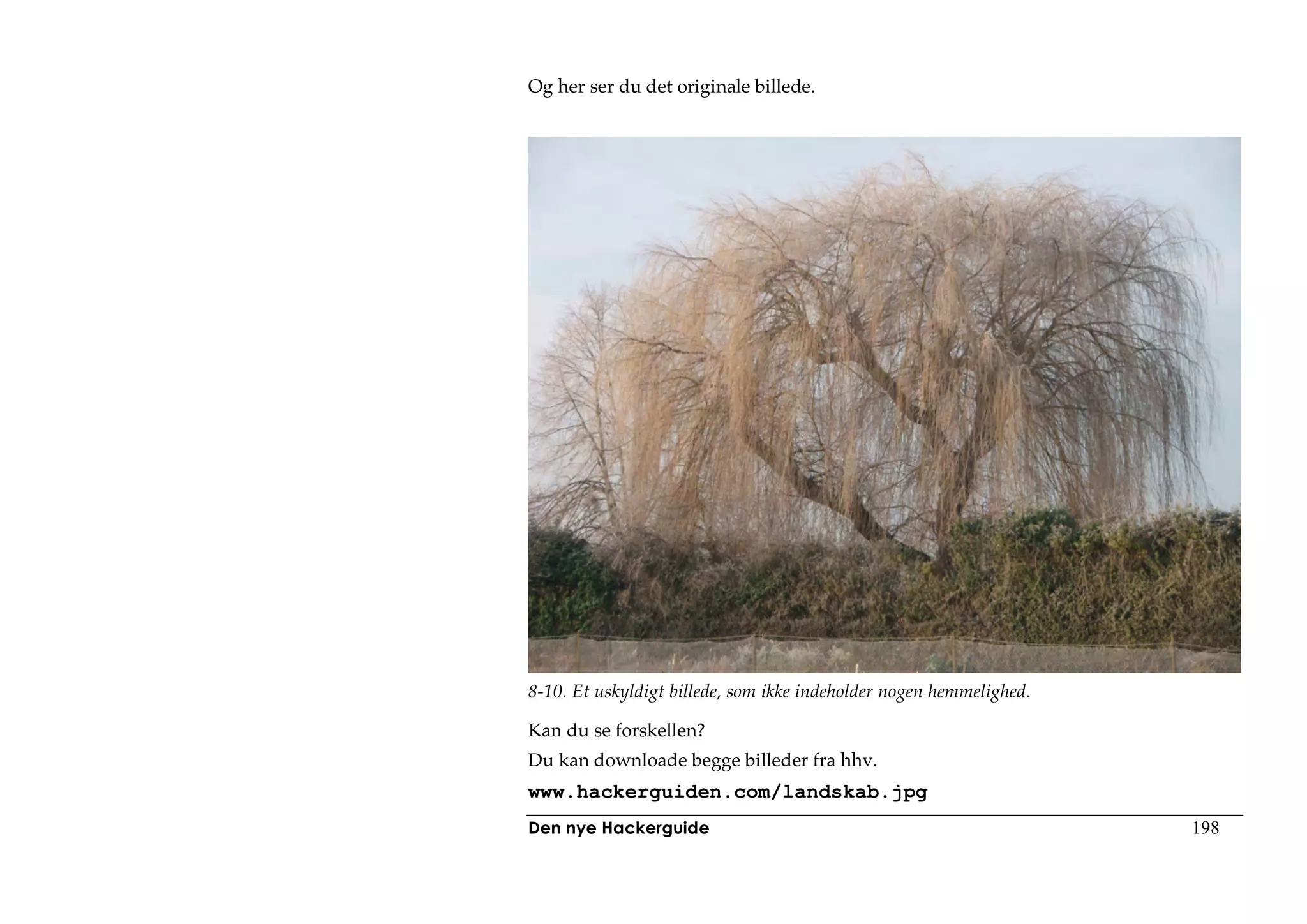 Og her ser du det originale billede.




8-10. Et uskyldigt billede, som ikke indeholder nogen hemmelighed.

Kan du se forskellen?
Du kan downloade begge billeder fra hhv.
www.hackerguiden.com/landskab.jpg
Den nye Hackerguide                                                  198
 