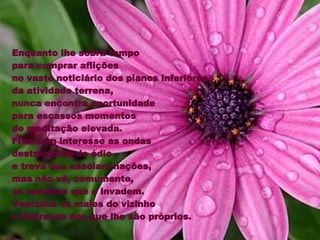 Enquanto lhe sobra tempo  para comprar aflições  no vasto noticiário dos planos inferiores  da atividade terrena,  nunca encontra oportunidade  para escassos momentos  de meditação elevada.  Fixa com interesse as ondas  destruidoras de ódio  e treva que assolam nações, mas não vê, comumente,  as sombras que o invadem. Vasculha os males do vizinho  e distrai-se dos que lhe são próprios.  
