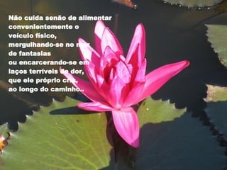 Não cuida senão de alimentar convenientemente o  veículo físico,  mergulhando-se no mar  de fantasias  ou encarcerando-se em  laços terríveis de dor,  que ele próprio cria,  ao longo do caminho..  