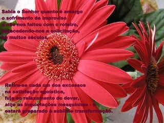 Sabia o Senhor quanto é amargo  o sofrimento de improviso  e não nos faltou com o roteiro,  antecedendo-nos a solicitação,  há muitos séculos.  Retire-se cada um dos excessos  na satisfação egoística,  fuja ao relaxamento do dever,  alije as inquietações mesquinhas - e  estará preparado à sublime transformação.  
