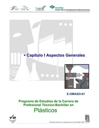  Capítulo I Aspectos Generales




                             E-OMASO-01

Programa de Estudios de la Carrera de
   Profesional Técnico-Bachiller en
         Plásticos
 