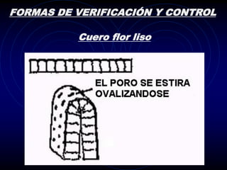 FORMAS DE VERIFICACIÓN Y CONTROL

          Cuero flor liso
 