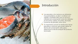 Introducción
 Los pescados y los mariscos son alimentos
muy perecederos, es decir, se alteran con
rapidez y facilidad salvo que se recurra a
métodos de conservación, entre los métodos
se encuentra; salado, encurtido, ahumado,
conservas de pescado, entre otros.
 Es importante conocer la clasificación de los
pescados y mariscos, para poder aplicar la
técnica de conservación adecuada y
determinar la vida de anaquel del producto
terminado.
 