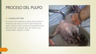 PROCESO DEL PULPO
 Limpieza del Pulpo
El proceso de limpieza se debe de proceder a
limpiarlo bien bajo un chorro abundante de
agua. Tentáculo por tentáculo limpiándolo bien
para eliminar cualquier tipo de residuo que
pueda haber alojado en ellos.
 