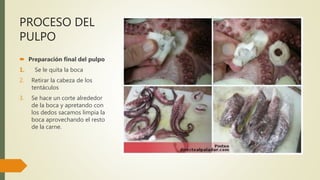 PROCESO DEL
PULPO
 Preparación final del pulpo
1. Se le quita la boca
2. Retirar la cabeza de los
tentáculos
3. Se hace un corte alrededor
de la boca y apretando con
los dedos sacamos limpia la
boca aprovechando el resto
de la carne.
 