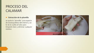 PROCESO DEL
CALAMAR
 Extracción de la plumilla
se quita la “plumilla” (una especie
de exoesqueleto) del interior y se
le da la vuelta al tubo para
limpiarlo bien y eliminar cualquier
residuo.
 