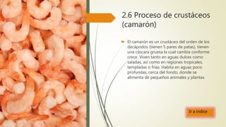 2.6 Proceso de crustáceos
(camarón)
 El camarón es un crustáceo del orden de los
decápodos (tienen 5 pares de patas), tienen
una cáscara gruesa la cual cambia conforme
crece. Viven tanto en aguas dulces como
saladas, así como en regiones tropicales,
templadas o frías. Habita en aguas poco
profundas, cerca del fondo, donde se
alimenta de pequeños animales y plantas.
Ir a índice
 