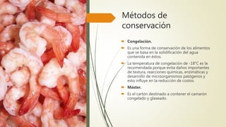Métodos de
conservación
 Congelación.
 Es una forma de conservación de los alimentos
que se basa en la solidificación del agua
contenida en éstos.
 La temperatura de congelación de -18°C es la
recomendada porque evita daños importantes
de textura, reacciones químicas, enzimáticas y
desarrollo de microorganismos patógenos y
esto influye en la reducción de costos.
 Máster.
 Es el cartón destinado a contener el camarón
congelado y glaseado.
 