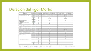 Duración del rigor Mortis
 