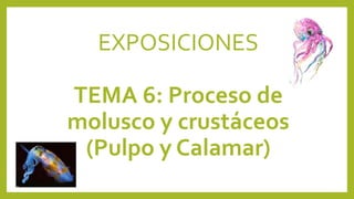EXPOSICIONES
TEMA 6: Proceso de
molusco y crustáceos
(Pulpo y Calamar)
 