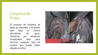 Limpieza de
Pulpo
El proceso de limpieza se
debe de proceder a limpiarlo
bien bajo un chorro
abundante de agua.
Tentáculo por tentáculo
limpiándolo bien para
eliminar cualquier tipo de
residuo que pueda haber
alojado en ellos.
 