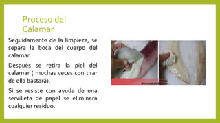 Proceso del
Calamar
Seguidamente de la limpieza, se
separa la boca del cuerpo del
calamar
Después se retira la piel del
calamar ( muchas veces con tirar
de ella bastará).
Si se resiste con ayuda de una
servilleta de papel se eliminará
cualquier residuo.
 