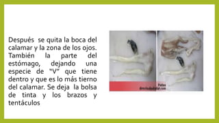 Después se quita la boca del
calamar y la zona de los ojos.
También la parte del
estómago, dejando una
especie de “V” que tiene
dentro y que es lo más tierno
del calamar. Se deja la bolsa
de tinta y los brazos y
tentáculos
 
