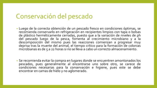 Conservación del pescado
• Luego de la correcta obtención de un pescado fresco en condiciones óptimas, se
recomienda conservarlo en refrigeración en recipientes limpios con tapa o bolsas
de plástico herméticamente cerradas, puesto que a la variación de niveles de ph
del pescado luego de la pesca, fomenta al crecimiento microbiano y a la
descomposición del mismo pues las reacciones comienzan a progresar muy
deprisa tras la muerte del animal, el tiempo crítico para la formación de colonias
microbianas es de 5 a 22 horas si no se lleva a cabo un correcto almacenamiento.
• Se recomienda evitar la compra en lugares donde se encuentren amontonados los
pescados, pues generalmente al encontrarse uno sobre otro, se carece de
condiciones necesarias para la conservación e higiene, pues este se debe
encontrar en camas de hielo y no aglomerado.
 