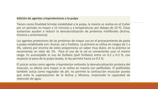 Adición de agentes crioprotectores a la pulpa
Tienen como finalidad brindar estabilidad a la pulpa, la mezcla se realiza en el Cutter
por un periodo no mayor a 15 minutos y a temperaturas por debajo de 10 ºC. Estas
sustancias ayudan a reducir la desnaturalización de proteínas miofibrales (Actina,
miosina y actomiosina)
Los agentes protectores de las proteínas de mayor uso en el procesamiento de pasta
o pulpa estabilizada son: Azúcar, sal y Fosfatos. La primera se utiliza en rangos de 1 a
3%, valores por encima de estos proporciona un sabor muy dulce, en la práctica se
recomienda un valor de 1%. Para el uso de la sal es conveniente usar el mismo
rango. Es aconsejable el uso de fosfatos (poli fosfatos) entre un 0.2 y 0.3 %, con
respecto al peso de la pulpa lavada, la ley permite hasta un 0.5 %.
El azúcar actúa como agente crioprotector evitando la desnaturalización proteica del
músculo, su efecto será mayor si se utiliza en mezcla con polifosfato. El polifosfato
también actúa como regulador de pH, no permite la contracción muscular puesto
que evita la superposición de la Actina y Miosina, mejorando la capacidad de
retención de agua.
 