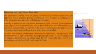 Captura de peces para harina de pescado
Son capturados usando redes de pesca con tamaños de malla especificados por
gobiernos (nunca usan una pipa de succión). Las redes a veces son vaciadas por las
pipas de succión y descargadas en la bodega del buque.
El área y la temporada de captura son determinadas por controles gubernamentales
para asegurar el mantenimiento de cuotas. Muchos buques llevan rastreadores que
permiten rastreamiento vía satélite. Esto asiste a autoridades del gobierno para
comprobar que la pesca se hace dentro de las áreas convenidas.
Además, los barcos se comprueban a menudo al desembarcar. Se supervisa su retén
para comprobar el tipo y el tamaño de los peces capturados, el área y la temporada
de captura. Generalmente se utiliza agua de mar refrigerada para enfriar a los
pescados y para mantenerlos frescos, evitando daño.
 