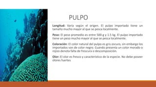 PULPO
Longitud: Varía según el origen. El pulpo importado tiene un
tamaño mucho mayor al que se pesca localmente.
Peso: El peso promedio es entre 500 g y 1.5 kg. El pulpo importado
tiene un peso mucho mayor al que se pesca localmente.
Coloración: El color natural del pulpo es gris oscuro, sin embargo los
importados son de color negro. Cuando presenta un color morado o
rojizo denota falta de frescura o descomposición.
Olor: El olor es fresco y característico de la especie. No debe poseer
olores fuertes
 