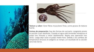 PULPO
Textura y sabor: tiene fibras musculares finas; carne gruesa de textura
fuerte.
Formas de preparación: hay dos formas de cocinarlo: congelarlo previo
la cocción y por ebullición. Cuando el agua esté hirviendo introduzca el
pulpo tres minutos y retire rápidamente. Repita esta operación tres
veces. Luego deje cocer el pulpo media hora. Debido a los cambios de
temperatura bruscos el colágeno se rompe y el resultado de la cocción
será más tierno.
 