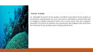 PROCESO
DEL PULPO
Asustar al pulpo
La densidad muscular de los pulpos. Las fibras musculares de los pulpos se
encuentran superpuestas las unas a las otras y reforzadas y endurecidas por
el colágeno y tejido conjuntivo (entre tres y cinco veces más que cualquier
pescado). Al cocerlo se produce una contracción del colágeno que contienen
los músculos lo que produce que el pulpo quede duro.
 