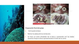 PROCESO
DEL PULPO
Preparación final del pulpo
1. Se le quita la boca
2. Retirar la cabeza de los tentáculos
3. Se hace un corte alrededor de la boca y apretando con los dedos
sacamos limpia la boca aprovechando el resto de la carne.
 