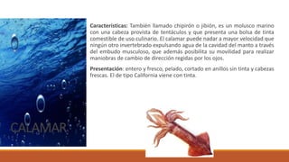 CALAMAR
Características: También llamado chipirón o jibión, es un molusco marino
con una cabeza provista de tentáculos y que presenta una bolsa de tinta
comestible de uso culinario. El calamar puede nadar a mayor velocidad que
ningún otro invertebrado expulsando agua de la cavidad del manto a través
del embudo musculoso, que además posibilita su movilidad para realizar
maniobras de cambio de dirección regidas por los ojos.
Presentación: entero y fresco, pelado, cortado en anillos sin tinta y cabezas
frescas. El de tipo California viene con tinta.
 
