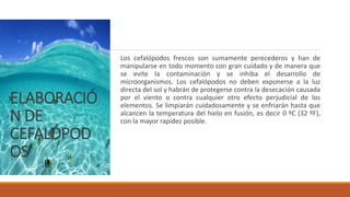 ELABORACIÓ
N DE
CEFALÓPOD
OS
Los cefalópodos frescos son sumamente perecederos y han de
manipularse en todo momento con gran cuidado y de manera que
se evite la contaminación y se inhiba el desarrollo de
microorganismos. Los cefalópodos no deben exponerse a la luz
directa del sol y habrán de protegerse contra la desecación causada
por el viento o contra cualquier otro efecto perjudicial de los
elementos. Se limpiarán cuidadosamente y se enfriarán hasta que
alcancen la temperatura del hielo en fusión, es decir 0 ºC (32 ºF),
con la mayor rapidez posible.
 