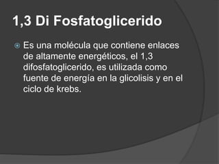 1,3 Di Fosfatoglicerido
 Es una molécula que contiene enlaces
de altamente energéticos, el 1,3
difosfatoglicerido, es utilizada como
fuente de energía en la glicolisis y en el
ciclo de krebs.
 