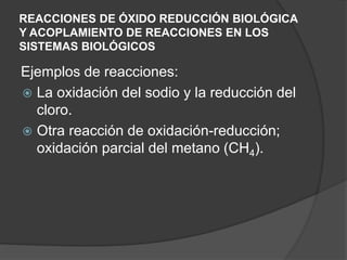 REACCIONES DE ÓXIDO REDUCCIÓN BIOLÓGICA
Y ACOPLAMIENTO DE REACCIONES EN LOS
SISTEMAS BIOLÓGICOS
Ejemplos de reacciones:
 La oxidación del sodio y la reducción del
cloro.
 Otra reacción de oxidación-reducción;
oxidación parcial del metano (CH4).
 