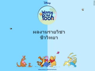 ผลงานรายวิชาชีววิทยา