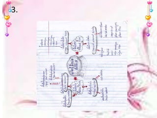 3.วาดแผนผังแสดง๶Ȩ้อ๶ยื่อทั้งสองชนิด