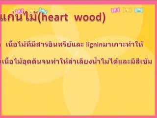 แก่นไม้(heart  wood)คือ  เนื้อไม้ที่มีสารอินทรีย์และ ligninมาเกาะทำให้ข้างในเนื้อไม้อุดตันจนทำให้ลำเลียงน้ำไม่ได้และมีสีเข้ม 