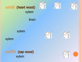 2. เนื้อเยื้อถาวรเชิงซ้อน (complex permanent tissue)2.1. xylem               2.1.1. tracheid               ตำแหน่งที่พบ:ท่อลำเลียงของพืช พบมากในพืชชั้นต่ำและพืชดอกบ้าง               หน้าที่:ลำเลียงน้ำและแร่ธาตุและค้ำจุนส่วนต่างๆของพืช               2.2.2. vessel               ตำแหน่งที่พบ:พบในท่อลำเลียงน้ำและแร่ธาตุ               หน้าที่:ลำเลียงน้ำและแร่ธาตุเท่านั้น               2.2.3. xylem fiber               ตำแหน่งที่พบ:ราก               หน้าที่:ช่วยให้ความแข็งแรงในพืช