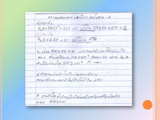 ผลงาȨระจำ๶ึϸอนสิงหาคม