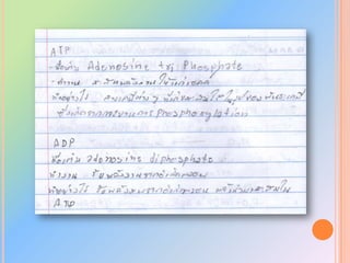 ชนิดของใบ