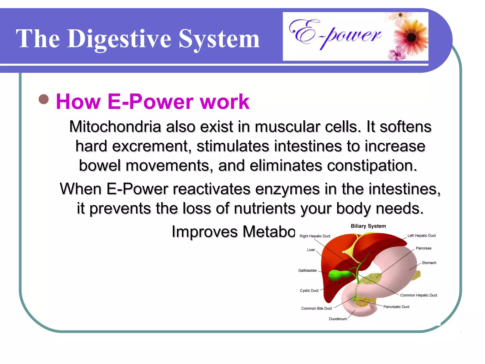The Digestive System

  How   E-Power work
    Mitochondria also exist in muscular cells. It softens
    hard excrement, stimulates intestines to increase
      bowel movements, and eliminates constipation.
   When E-Power reactivates enzymes in the intestines,
     it prevents the loss of nutrients your body needs.
                   Improves Metabolism.
 