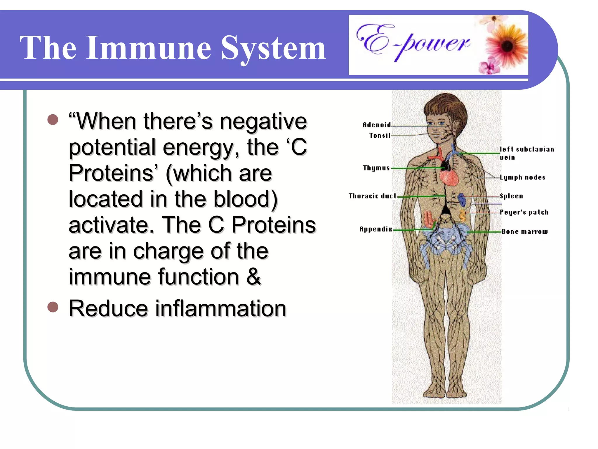 The Immune System
  “When there’s negative
   potential energy, the ‘C
   Proteins’ (which are
   located in the blood)
   activate. The C Proteins
   are in charge of the
   immune function &
  Reduce inflammation
 