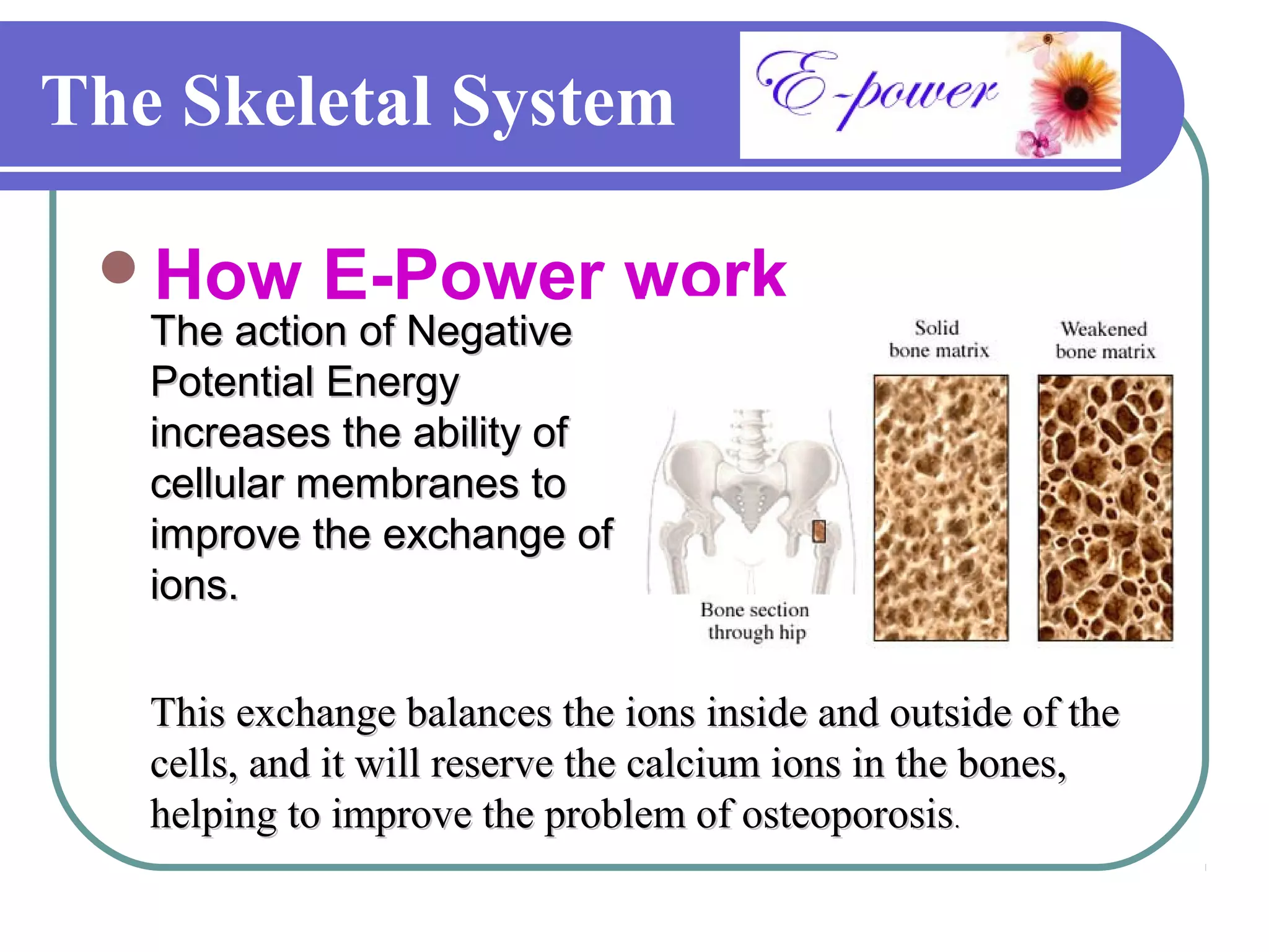 The Skeletal System

 How        E-Power work
   The action of Negative
   Potential Energy
   increases the ability of
   cellular membranes to
   improve the exchange of
   ions.


   This exchange balances the ions inside and outside of the
   cells, and it will reserve the calcium ions in the bones,
   helping to improve the problem of osteoporosis.
 