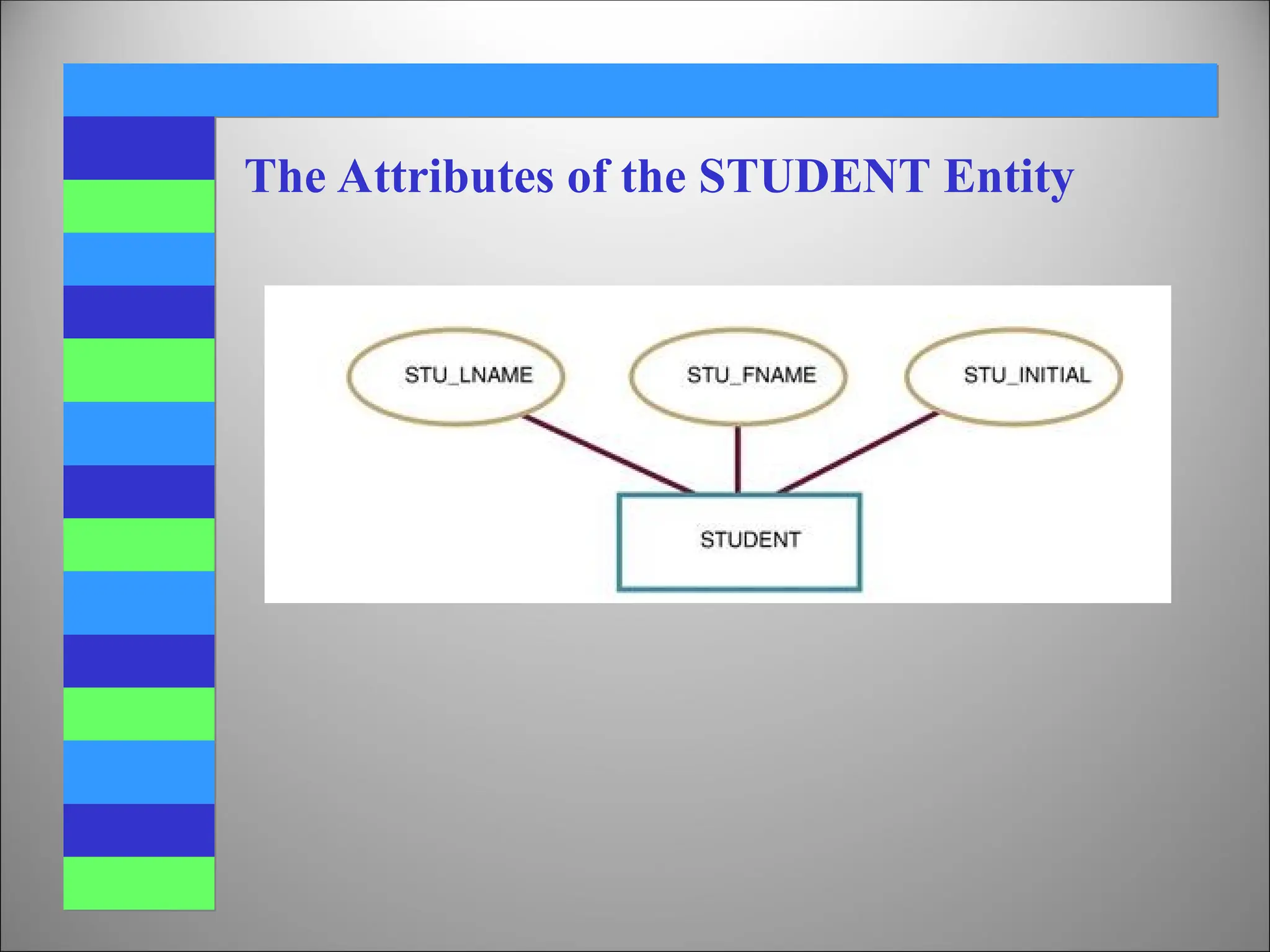 The Attributes of the STUDENT Entity
 