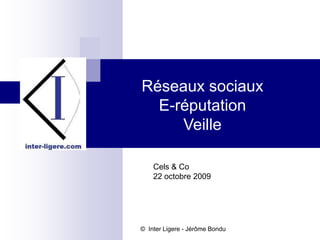Réseaux sociaux E-réputation Veille Cels & Co 22 octobre 2009 ©  Inter Ligere - Jérôme Bondu 